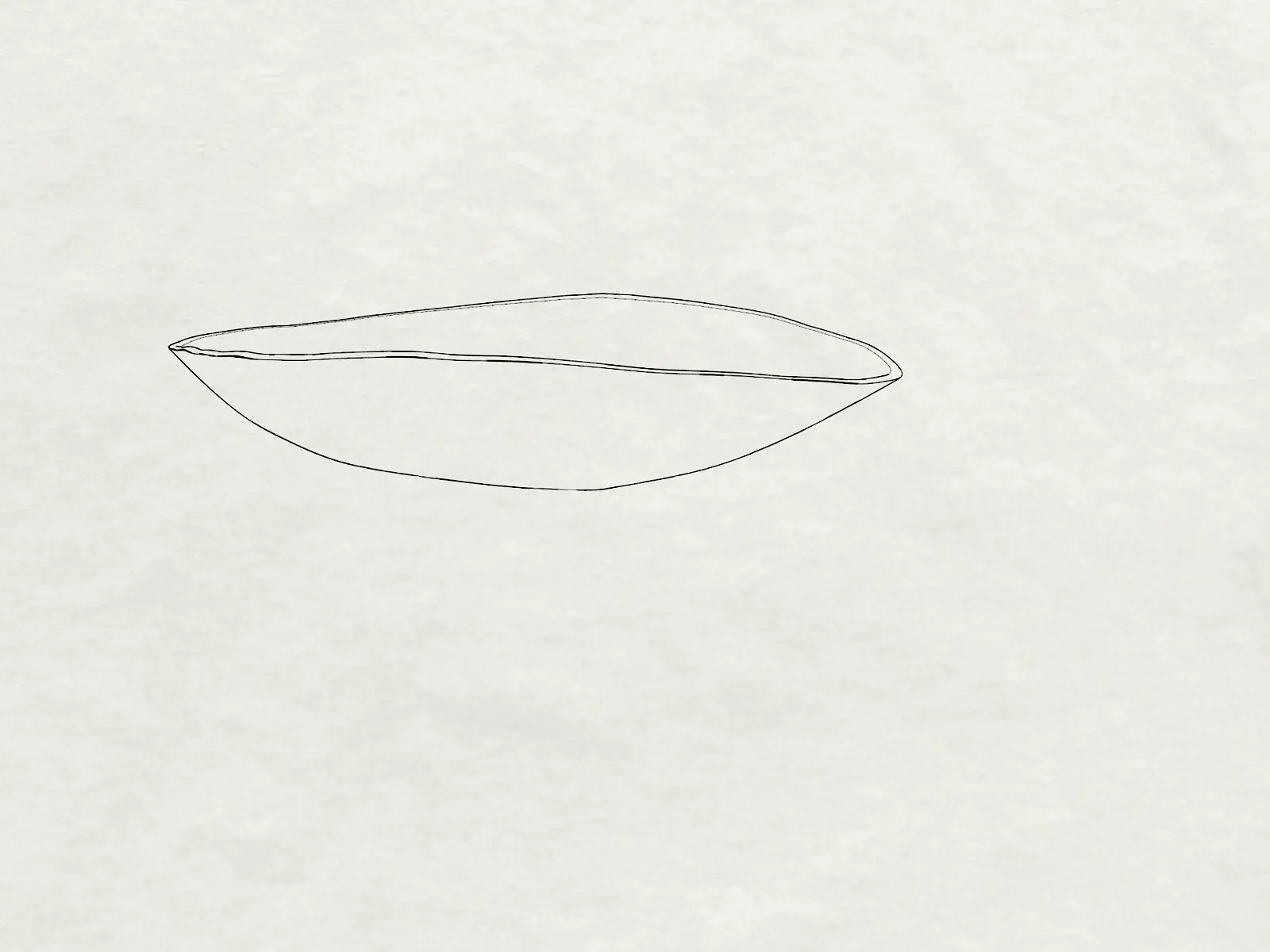 Line drawing of a plate seen from the side