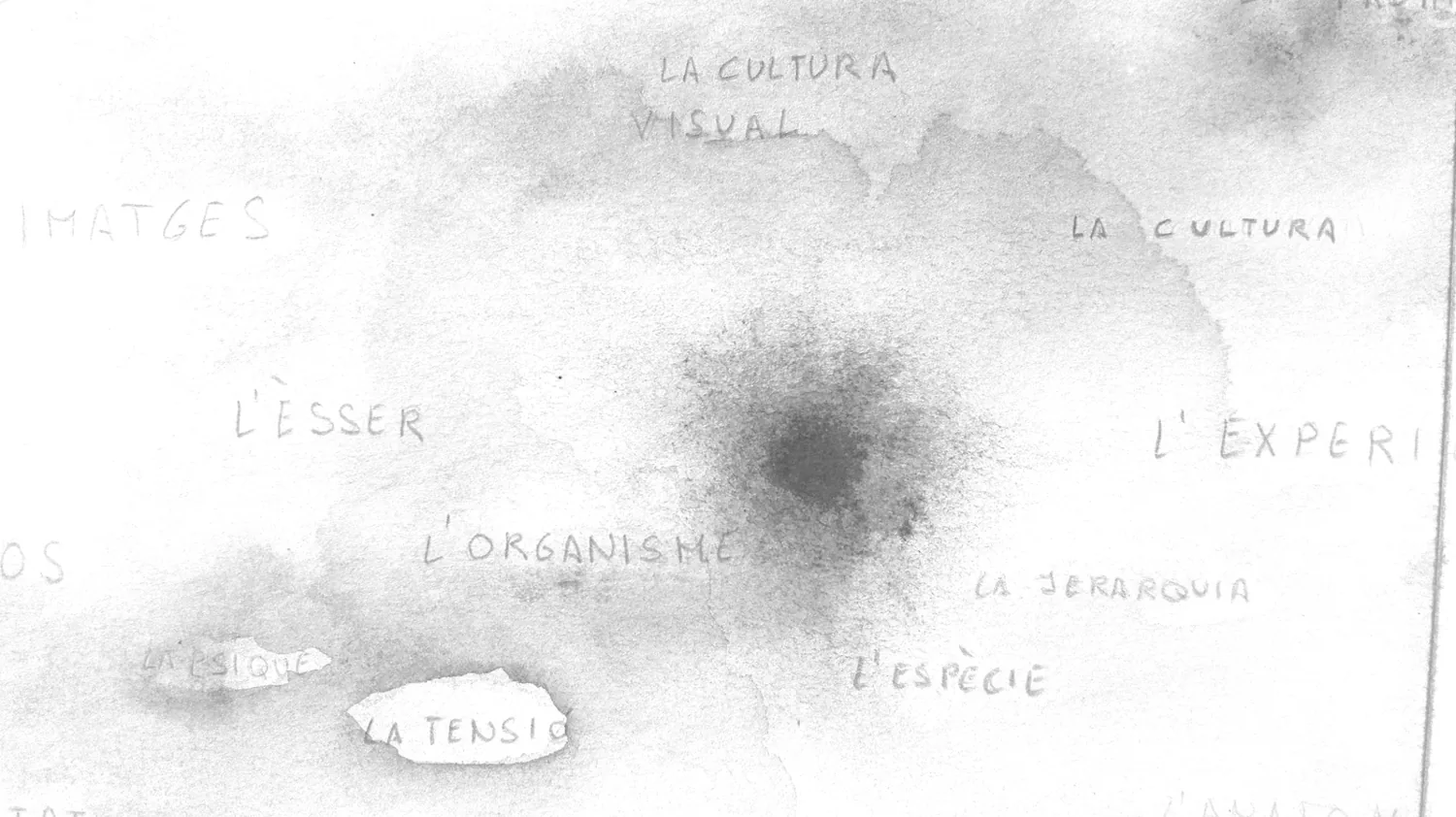 A soft grey watercolor study of material notes