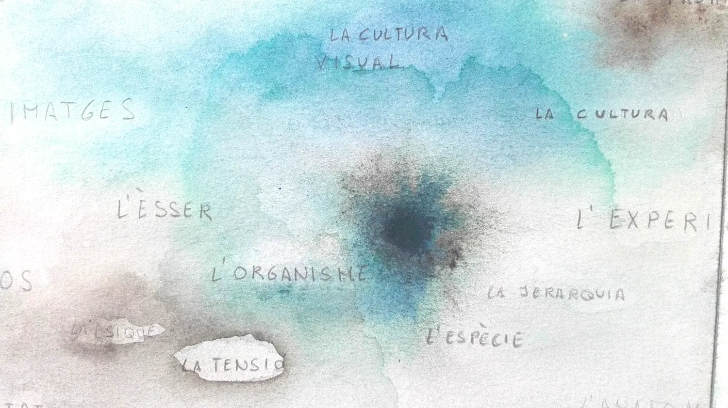 A teal watercolor study of visual-culture notes
